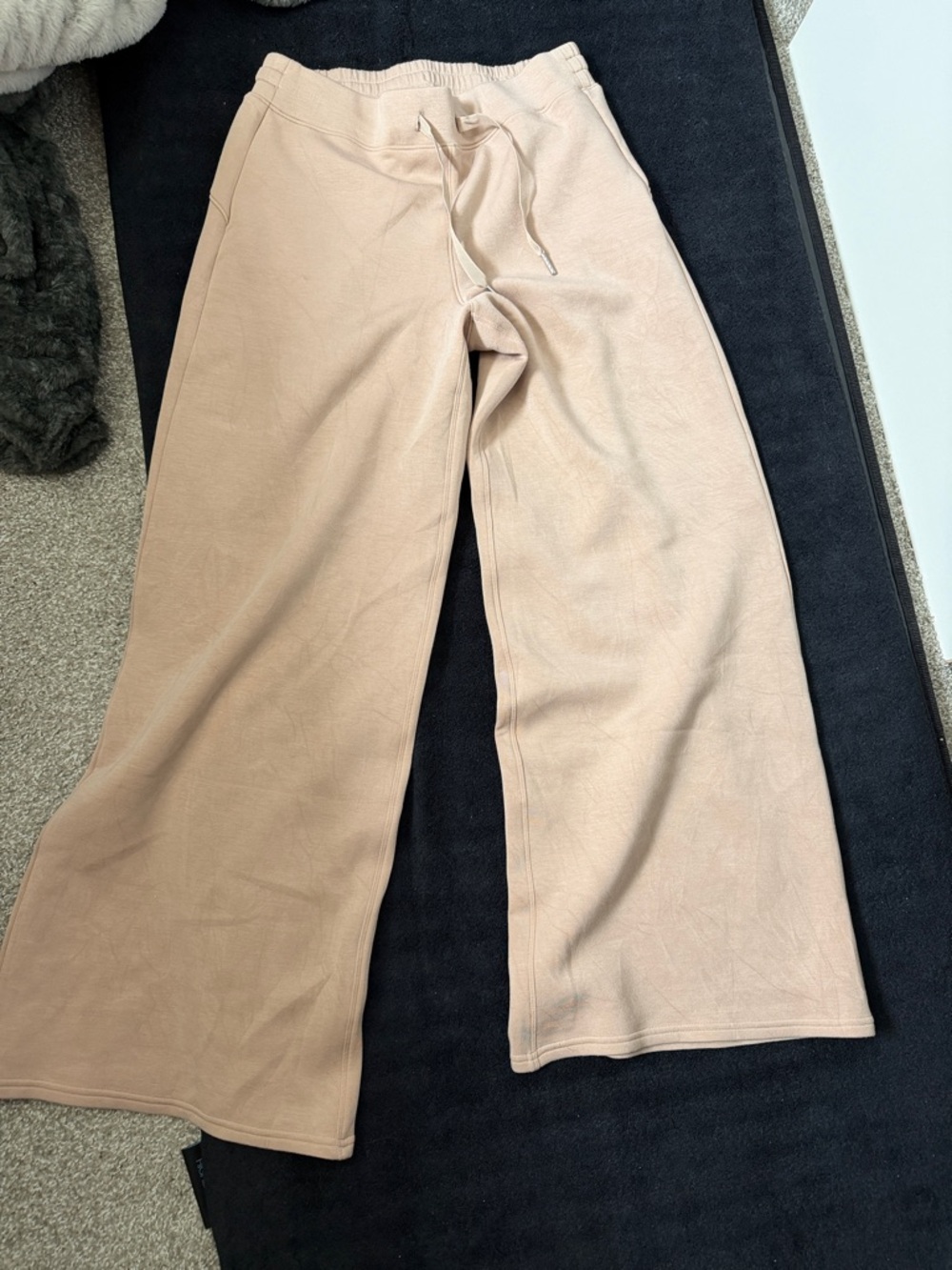 NWOT Wide Leg Drawstring Sweatpants in Blush